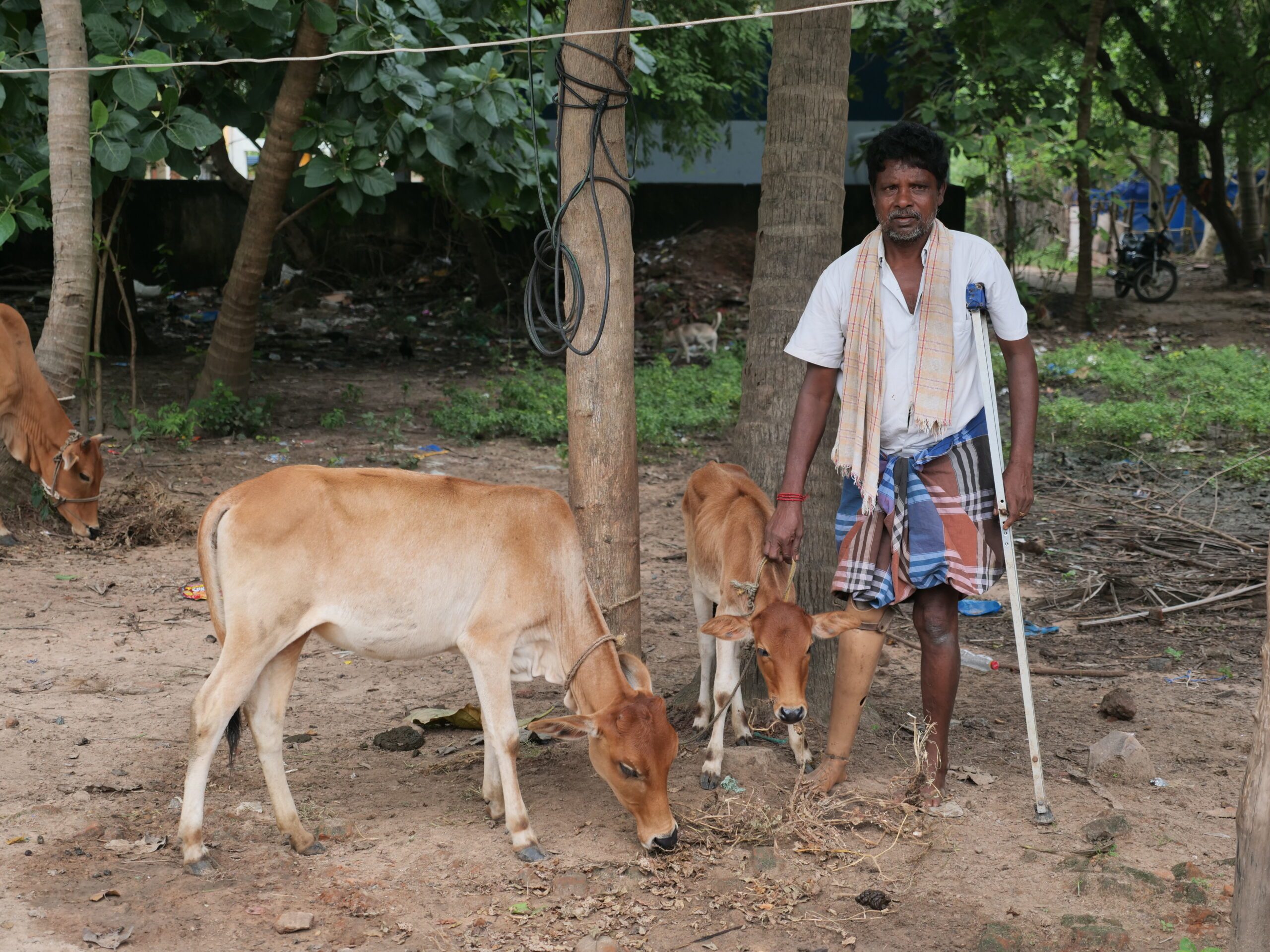Lire la suite à propos de l’article Microcrédits, microprojets : une aide au développement efficace !