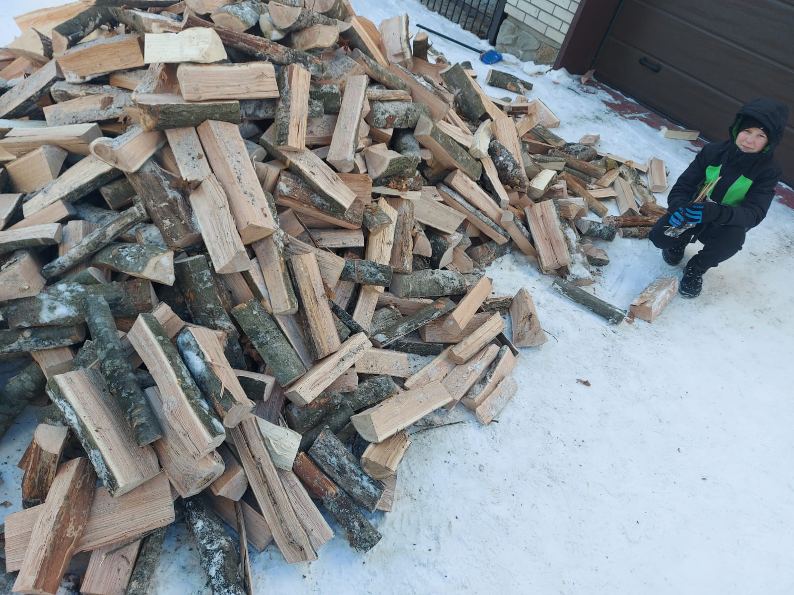 Lire la suite à propos de l’article Ukraine : du bois de chauffage pour les orphelins de Jytomyr